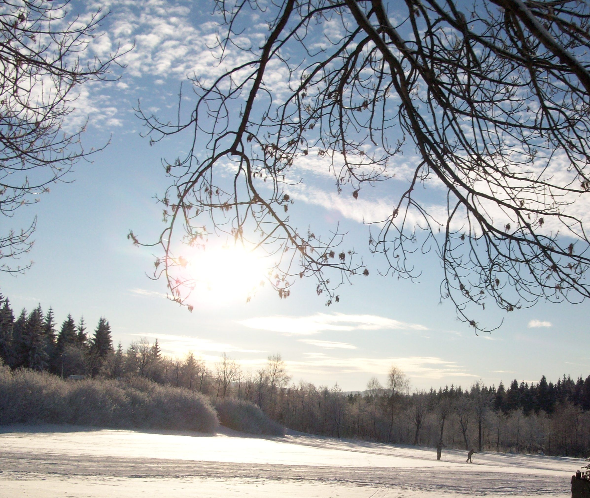 Holzhau im Schnee versunken